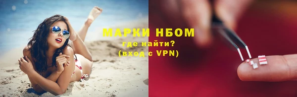 СК Куйбышев